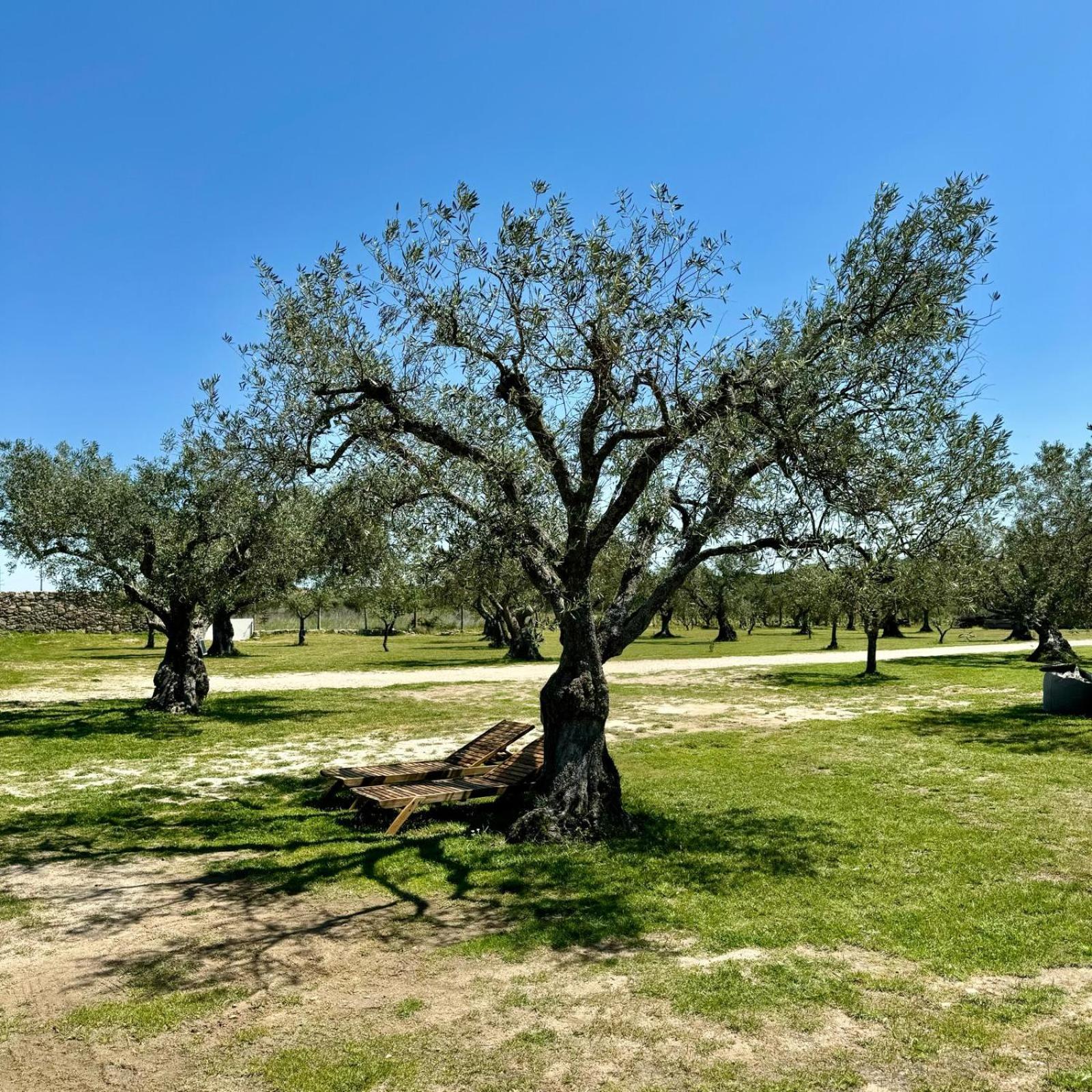Quinta Do Nobre Villa Marialva Eksteriør billede